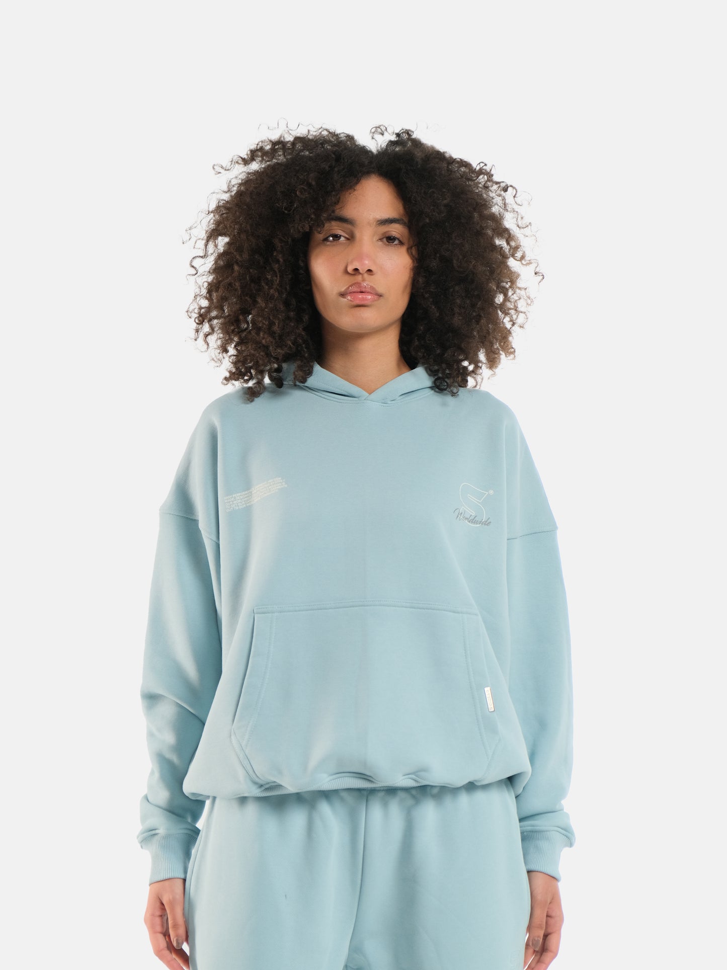 POWDER BLUE WORLDWIDE HOODIE