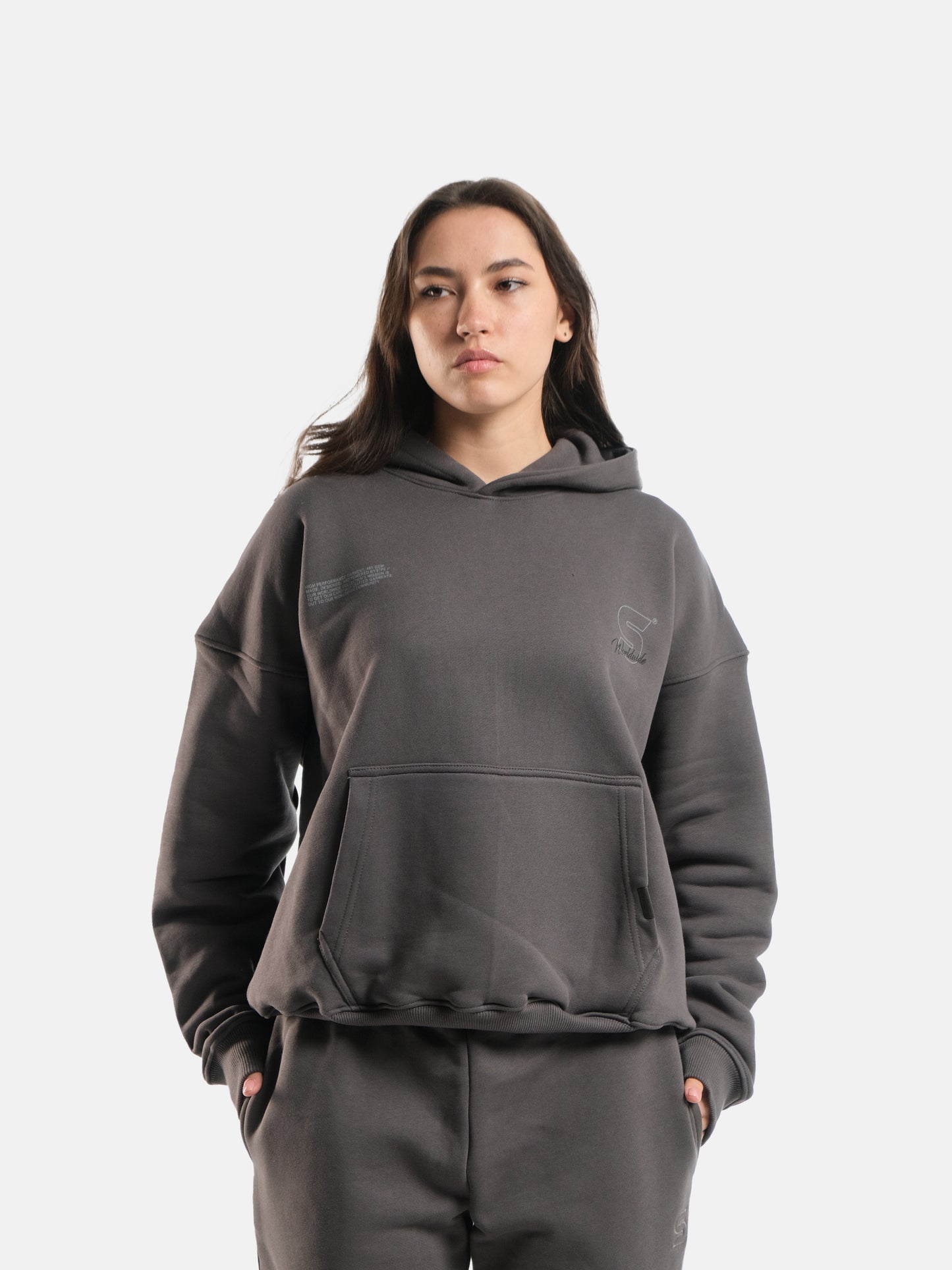 DARK GREY WORLDWIDE HOODIE