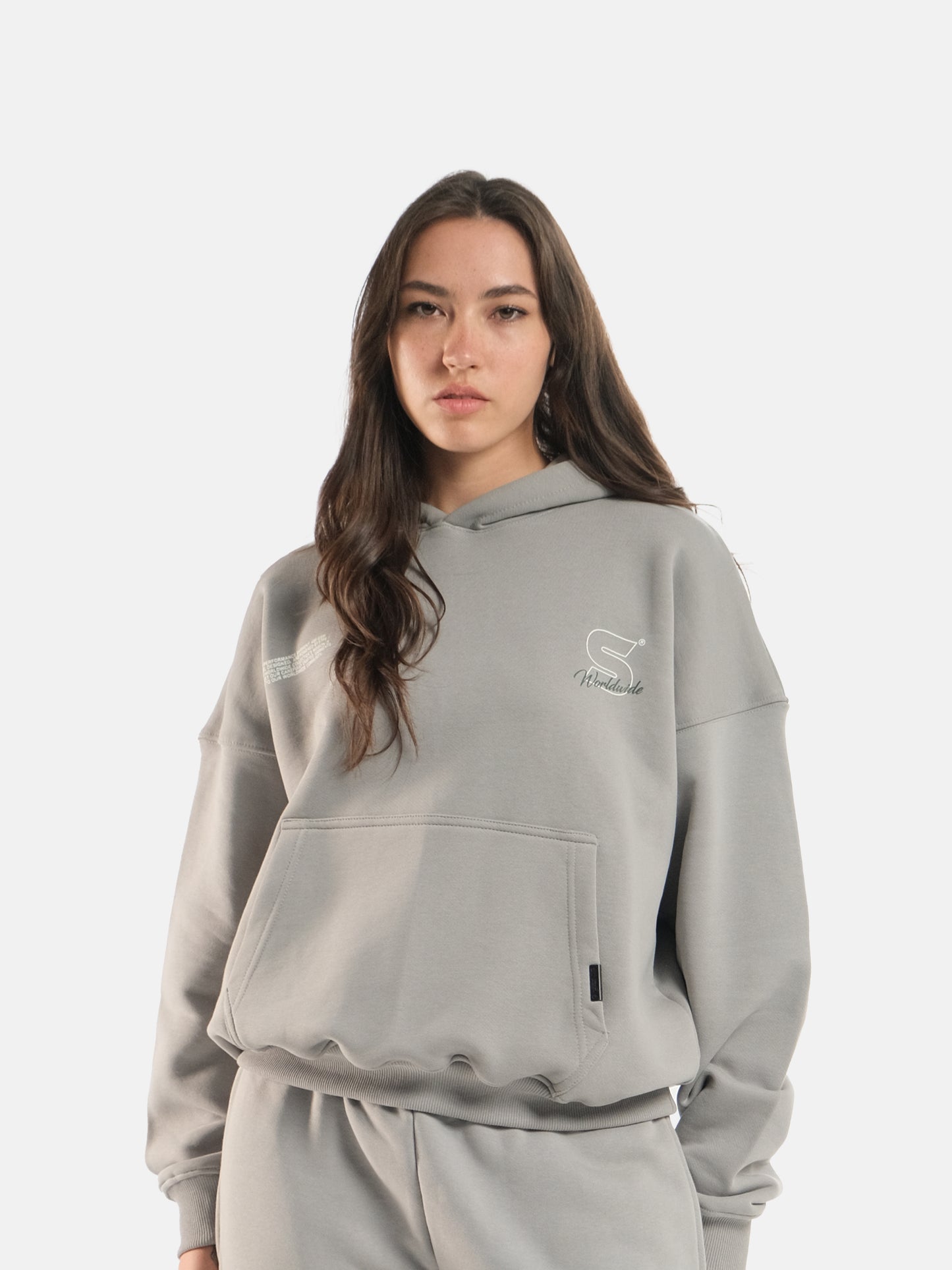 LIGHT GREY WORLDWIDE HOODIE